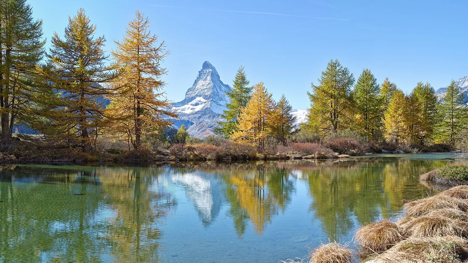 Swiss