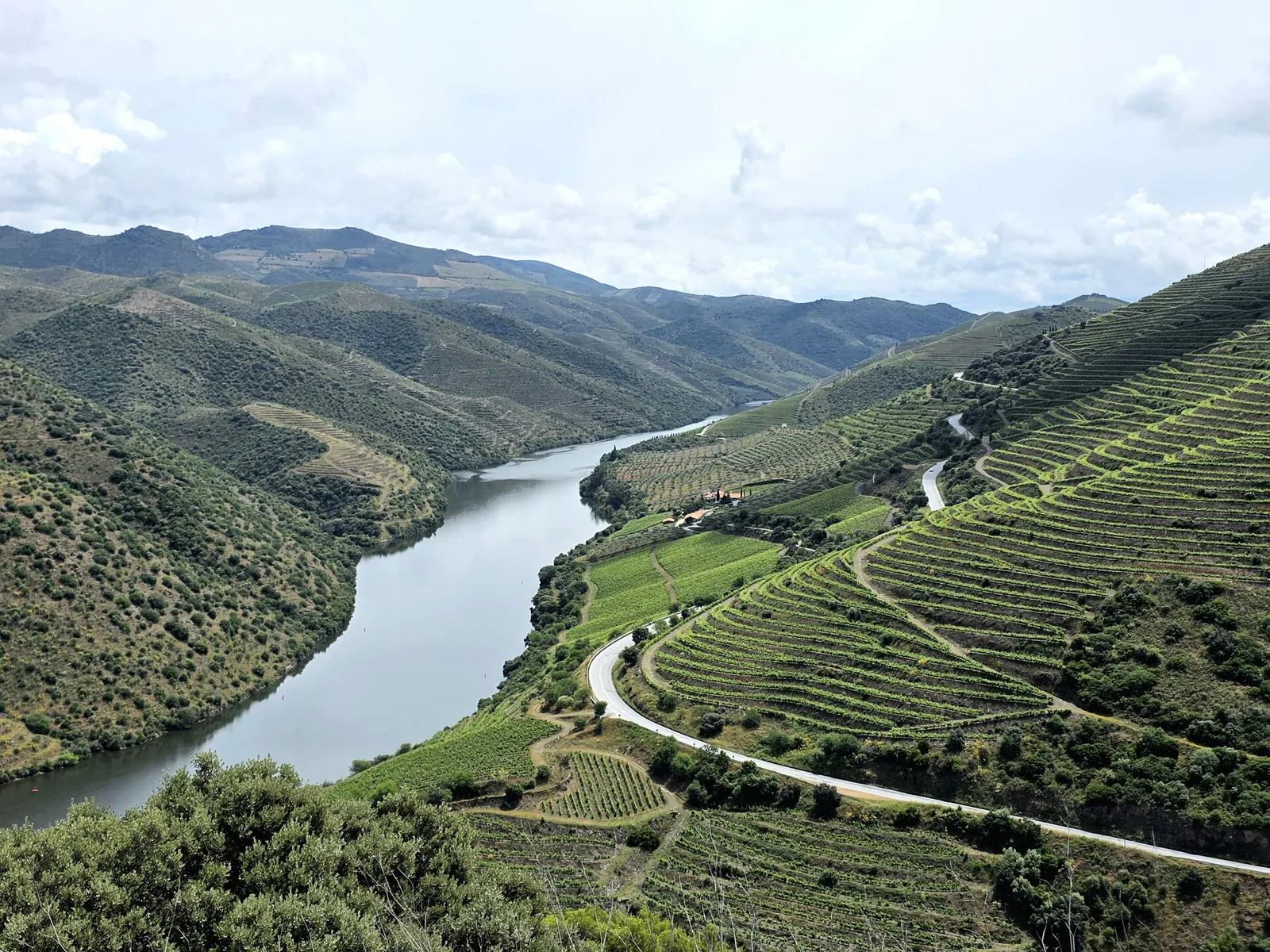 Von Porto nach Douro-Tal im privaten Reisebus