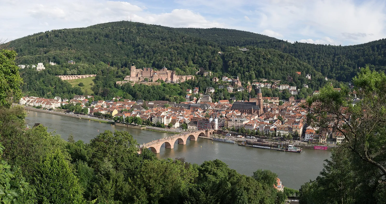 Da Francoforte a Heidelberg in pullman privato