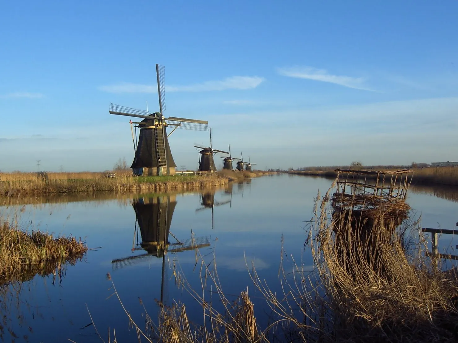 Da Rotterdam a Kinderdijk in pullman privato