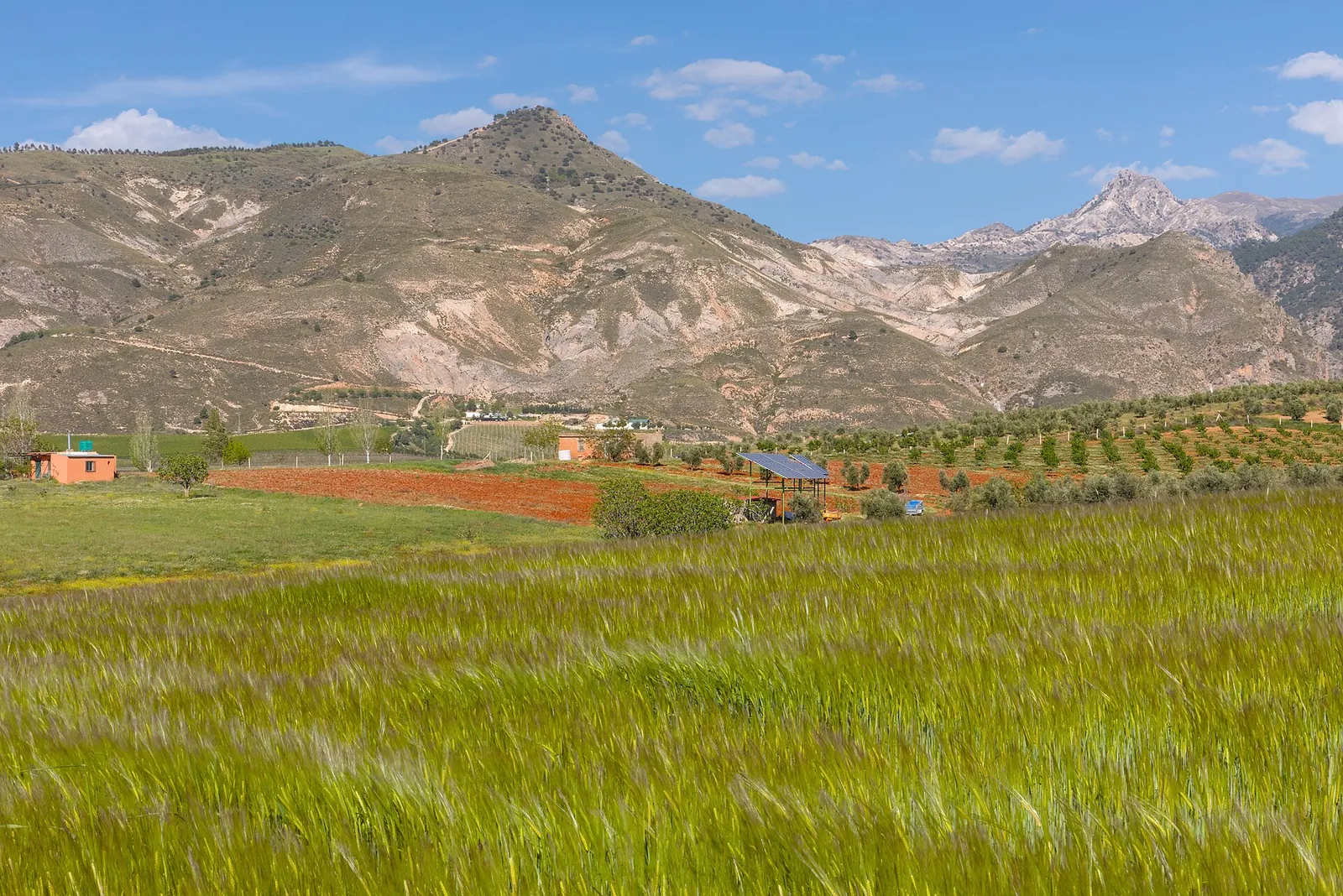 Von Granada nach Sierra Nevada im privaten Reisebus