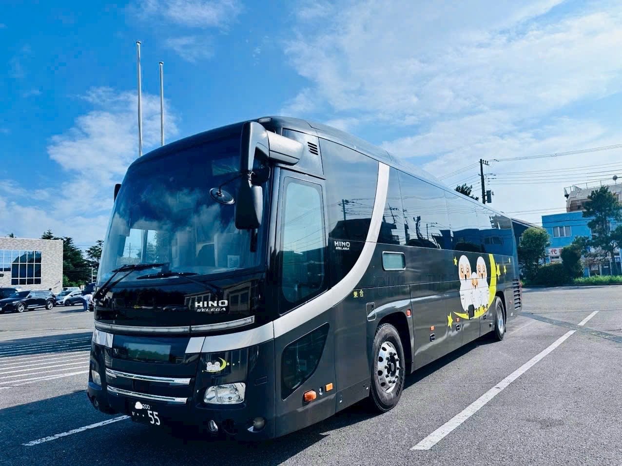 Von Flughafen Narita nach Tokio im privaten Reisebus